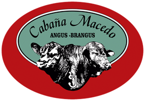 Cabaña Macedo